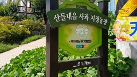 쇼핑점빵 블랙타이거몰 평창천지애농원 - kakaoTV 쇼핑점빵 블랙타이거몰 평창천지애농원