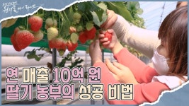 딸기 농부 선권수 씨의 성공 비법 I 원더풀 마이 라이프 12회 - kakaoTV 농장 전체 연 매출 10억 원?! 딸기 농부 선권수 씨의 성공 비법 I... 