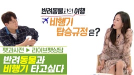 반려동물과 비행기를 타고 싶다면 주목하라! [펫과사전] 5회 - kakaoTV 반려동물과 비행기를 타고 싶다면 주목하라! [펫과사전] 5회