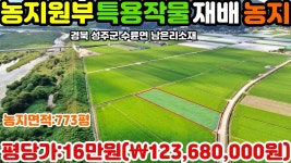 NO:1-400번#성주군땅.성주땅.성주군부동산.성주부동산.성주군공인중개사.경북성주군수륜면남은리귀농토지매매 - kakaoTV NO:1-400번#성주군땅.... 