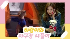 최희, 하랑이와 야구장 나들이 [오 마이 펫 시즌2] 10회 - kakaoTV 최희, 하랑이와 야구장 나들이 [오 마이 펫 시즌2] 10회