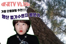 아궈의 VLOG 단풍여행추천 양산법기수원지 방문기 - kakaoTV 아궈의 VLOG 단풍여행추천 양산법기수원지 방문기