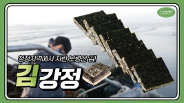 보령쿡 | 청정지역에서 자란 보령산 김! 김강정 - kakaoTV 보령쿡 | 청정지역에서 자란 보령산 김! 김강정