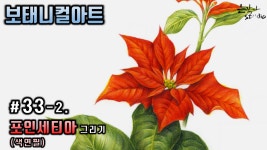 [보태니컬아트] #33-2. 포인세티아 색연필 그리기 (꽃드로잉 - 꽃그림 기초강좌) 색연필꽃그림 - kakaoTV [보태니컬아트] #33-2. 포인세티아... 
