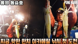 [풍낚TV] 한치낚시 첫도전/이카메탈/통영동승호/그날 최고의... 첫도전/이카메탈/통영동승호/그날 최고의 채비/Cinematic... 
