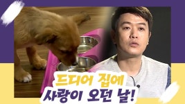 김대희네 집에 사랑이 오던 날 [오 마이 펫 시즌2] 2회 - kakaoTV 김대희네 집에 사랑이 오던 날 [오 마이 펫 시즌2] 2회