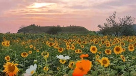 horogorou Castle (연천 호로고루) - kakaoTV horogorou Castle (연천 호로고루)