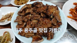 파주 돼지갈비 맛집, 연풍리 단골집 - kakaoTV 파주 돼지갈비 맛집, 연풍리 단골집