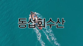 봉명동농수산물시장 청주활어회포장주문배달 동섭회수산 - kakaoTV 봉명동농수산물시장 청주활어회포장주문배달 동섭회수산