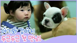 아기와 강아지 두근두근 첫 만남 [땡큐 베이비 독] 1회 - kakaoTV 아기와 강아지 두근두근 첫 만남 [땡큐 베이비 독] 1회