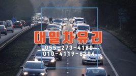 대일차유리(2020.02.) - 4 - kakaoTV 대일차유리(2020.02.) - 4