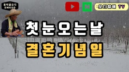 첫눈내리는 동막골 오디농장 - kakaoTV 첫눈내리는 동막골 오디농장