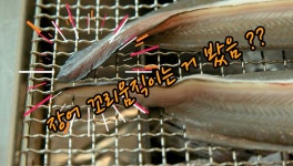 강서 맛집 가양동 맛집 풍천황토 민물장어 입소문 자자한 강서구... 강서  맛집 가양동 맛집 풍천황토 민물장어 입소문 자자한 강서구 맛집