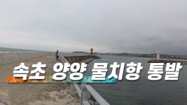 강원도 동해바다 속초 양양 물치항에서 통발 도전기 - kakaoTV 강원도 동해바다 속초 양양 물치항에서 통발 도전기