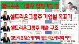 셀트리온,셀트리온헬스케어,셀트리온제약 합병가능성(feat. 셀트리온그룹주 기업별 목표가, 매출구조) - kakaoTV 셀트리온,셀트리온헬스케어... 