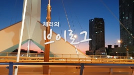 [체리 브이로그] 야간 송도 센트럴파크 방문기 - kakaoTV [체리 브이로그] 야간 송도 센트럴파크 방문기