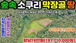 NO:1-384번#달성군땅.달성땅.달성군부동산.달성부동산.달성군공인중개사.대구광역시달성군하빈면기곡리자연인땅 - kakaoTV NO:1-384번... 