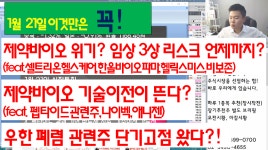 펩타이드관련주 나이벡,애니젠 기술이전? - kakaoTV 셀트리온헬스케어... 제약바이오 위기? 펩타이드관련주 나이벡,애니젠 기술이전?