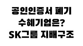 라온시큐어,한국전자인증,한국정보통신 공인인증서 폐지 직접... 라온시큐어,한국전자인증,한국정보통신 공인인증서 폐지 직접 수혜될까?... 