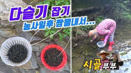 귀농귀촌 시골부부 (농사짓기)#2_짬을내서 다슬기(약고동) 잡기 - kakaoTV 귀농귀촌 시골부부 (농사짓기)#2_짬을내서 다슬기(약고동) 잡기