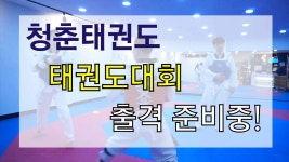 태권도하는 성인들은 모여라❗ 청춘태권도장은 겨루기 대회출전... 모여라❗ 청춘태권도장은 겨루기 대회출전 준비중!(서울/노원/강북/도봉)