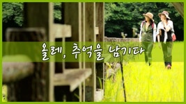 올레, 추억을 남기다 [힐링로드 규슈 올레] 5회 - kakaoTV 올레, 추억을 남기다 [힐링로드 규슈 올레] 5회