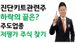 인지컨트롤스, 삼지전자, 엔에스 주도주업종의 - kakaoTV 씨젠, 수젠텍, 랩지노믹스 진단키트관련주 하락의 끝은 어디일까? 인지컨트롤스... 