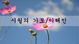 시월의기도, 10월의 시 - 이해인/좋은글 좋은시 - kakaoTV 시월의기도, 10월의 시 - 이해인/좋은글 좋은시