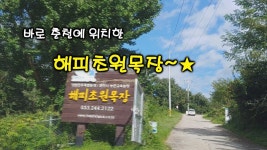춘천에 있는 해피초원목장에 놀러갔어요~☆ - kakaoTV 춘천에 있는 해피초원목장에 놀러갔어요~☆