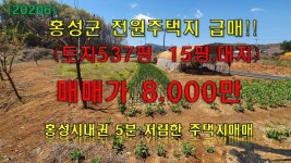 8,000만,홍성시내10분-내포박사(73424) - kakaoTV 홍성군 토지 매매-토지537평,평당15만,매매 8,000만,홍성시내10분-내포박사(73424) 