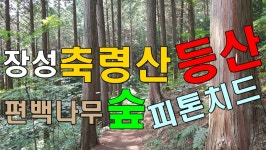 장성 축령산 자연휴양림 편백나무숲 등산 여행 정보 02 - kakaoTV 장성 축령산 자연휴양림 편백나무숲 등산 여행 정보 02