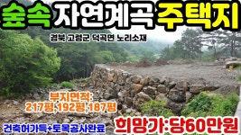 고령군공인중개사.경북고령군덕곡면노리산골전원주택용지 - kakaoTV... 고령군공인중개사.경북고령군덕곡면노리산골전원주택용지