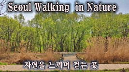 서울 산책,데이트 코스, 아름다운 생태 공원 길 - kakaoTV 서울 산책,데이트 코스, 아름다운 생태 공원 길