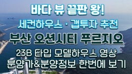 부산 오션시티 푸르지오 레지던스 분양정보(평면도&분양가&23B타입 모델하우스 내부영상)/부산분양아파트 - kakaoTV 부산 오션시티 푸르지오... 