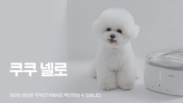 [카카오쇼핑라이브B] 쿠쿠 넬로 - kakaoTV [카카오쇼핑라이브B] 쿠쿠 넬로