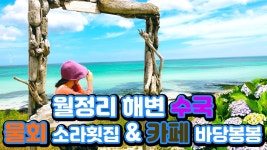 맛집 소라횟집(물회), 카페 바당봉봉을 소개합니다. - kakaoTV 제주도... 종달리까지 여행! 맛집 소라횟집(물회), 카페 바당봉봉을 소개합니다.