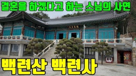 서대문 백련사 /정화인가 법란인가? /이야기가 있는 사찰탐방 제 9화 - kakaoTV 서대문 백련사 /정화인가 법란인가? /이야기가 있는 사찰탐방... 