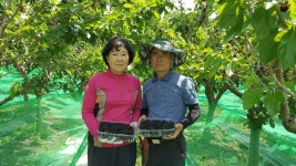 동막골오디농장사계절 - kakaoTV 동막골오디농장사계절