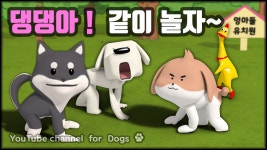 강아지 사회성 훈련, 댕댕아 같이 놀자~ | 강아지가 보는... 훈련, 댕댕아 같이 놀자~ | 강아지가 보는 영상 - Dog Social Training