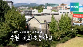 1934 교육의 작은 꽃이 피다 수원 소화초등학교 - kakaoTV 1934 교육의 작은 꽃이 피다 수원 소화초등학교