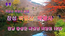 용천  백암산 백양사 단풍 - kakaoTV 용천  백암산 백양사 단풍