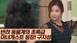 반려 동물계 초특급 미녀 게스트 등장! [마이펫 상담소] 3회 - kakaoTV 반려 동물계 초특급 미녀 게스트 등장! [마이펫 상담소] 3회