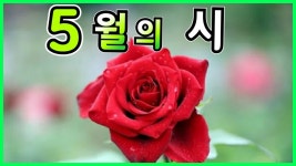 좋은시 5월의 시 이해인 - kakaoTV 좋은시 5월의 시 이해인