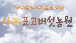아라표고버섯농원 - kakaoTV 아라표고버섯농원