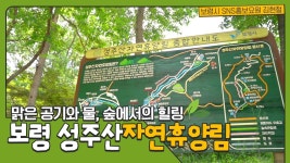 보령시SNS홍보요원 | 맑은 공기와 물, 숲에서의 힐링 보령 성주산자... 맑은 공기와 물, 숲에서의 힐링 보령 성주산자연휴양림