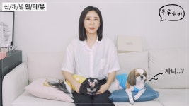 신개념 댕댕인터뷰🐶🐼 - 엄마는 열심히 영상찍는데 두루두비는 잔다😴 TV동물농장 동물등록기 - kakaoTV 신개념 댕댕인터뷰🐶🐼 - 엄마는... 