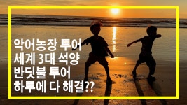 코타키나발루, 자연 속으로_악어농장, 반딧불 투어 - kakaoTV 코타키나발루, 자연 속으로_악어농장, 반딧불 투어
