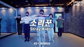 Stray Kids(스트레이 키즈) - 소리꾼ㅣ#D CHOREOㅣDREAM... Kids(스트레이 키즈) - 소리꾼ㅣ#D CHOREOㅣDREAM DANCEㅣSONG YI KIM