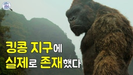 킹콩 지구 역사에 실제로 존재했다 고대 생명체 중국에 실존했던 가장... kakaoTV 킹콩 지구 역사에 실제로 존재했다 고대 생명체 중국에... 