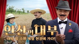 안산의 대부👨🏻, #대부밀 수확 체험 현장에 가다..!! (feat.안산 특산물) - kakaoTV 안산의 대부👨🏻, #대부밀 수확 체험 현장에 가다..!!... 